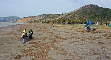 Gazipaşa'da yağışların ardından sahillerde temizlik çalışması başlatıldı