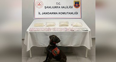 Haliliye'de uyuşturucu operasyonu 