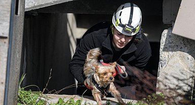 İzmir'de afetzede hayvanlar için arama kurtarma eğitimi verildi