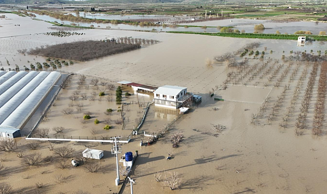 İzmir İtfaiyesi, taşkınlarda mahsur kalan hayvanlar için çalışma başlattı