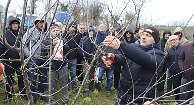 İzmit’te üreticilere uygulamalı budama eğitimi