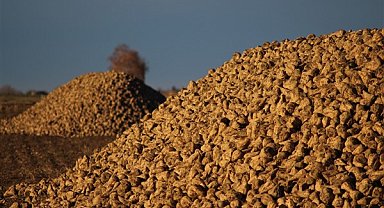 Kayseri Şeker'den pancar bedeli ödemesi