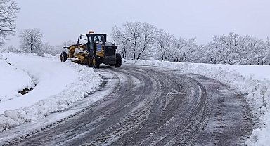 Kulp’ta kar nedeniyle kapanan yollar için çalışma başlatıldı