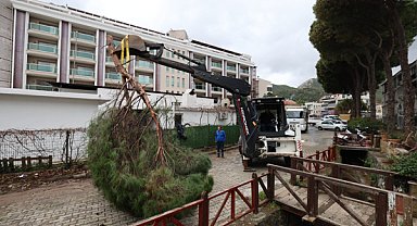 Marmaris’te devrilen 220 ağaca müdahale edildi