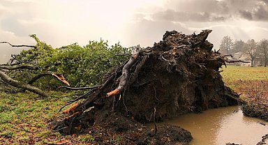 Meteorolojiden Doğu Karadeniz’in iç kesimlerinde fırtına uyarısı