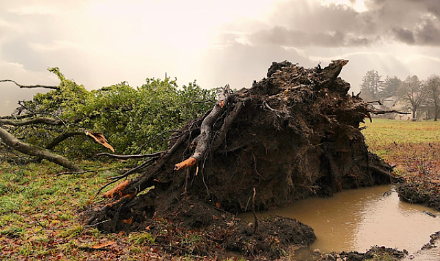 MGM: Kuvvetli rüzgar ve fırtına bekleniyor