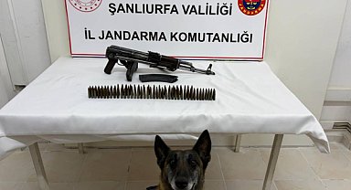 Şanlıurfa’da silah operasyonu
