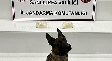 Şanlıurfa’da uyuşturucu operasyonu