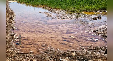 Tarımsal sulamada kaçak elektrik kullanımı 5 milyar kWh’ye ulaştı