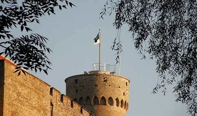 Tsahkna: Zayıf ve parçalanmış bir Avrupa özgürlüğümüzü koruyamaz