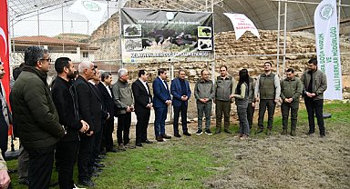 Vali Şıldak Kelaynakların doğaya salınma programına katıldı