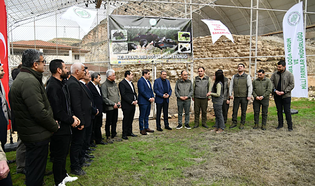 Vali Şıldak Kelaynakların doğaya salınma programına katıldı