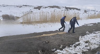 Van Büyükşehir Belediyesi’nden yaban hayatına yem desteği