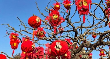 Xi Jinping’den Iowa’daki dostlarına Bahar Bayramı mesajı