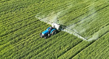 Akhisar Belediyesi arazilerinde buğdayda ilaçlama çalışması yapıldı