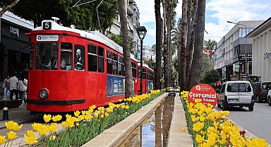 Antalya sokakları lale ve mevsimlik çiçeklerle renklendirildi