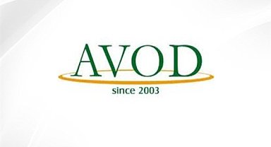 AVOD'un 12 aylık performansı