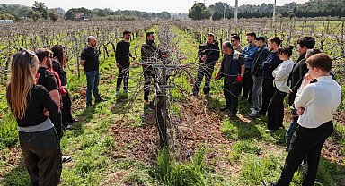 Buca’nın üzüm bağları geleceğin ziraat mühendislerine okul oldu