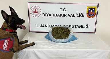 Diyarbakır’da aranan şahıslara, kaçakçılık ve uyuşturucuya yönelik operasyon