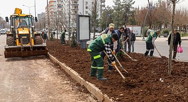 Diyarbakır’da Selahattin Eyyubi Bulvarı peyzajla yenileniyor