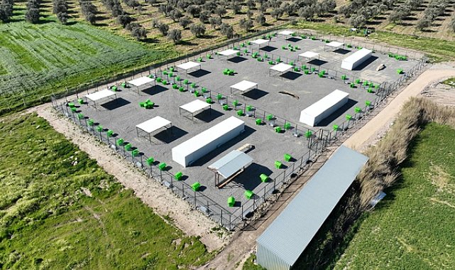 Edremit’te sokak hayvanlarına yeni alan