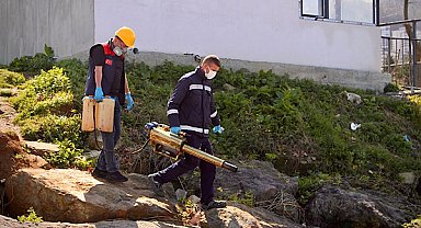 Giresun’da ilaçlama çalışmaları başladı