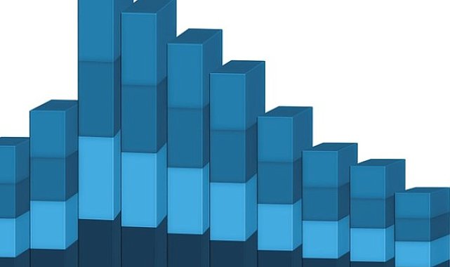 Göknur Gıda'dan pay geri alım duyurusu