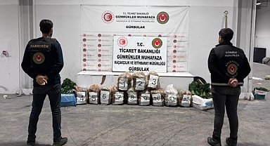 Gümrüklerde 484 kilo uyuşturucu madde ele geçirildi