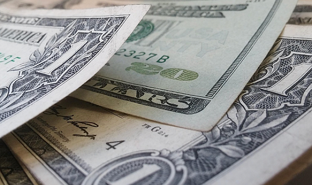 Güvenli liman arayışı dolara yöneldi