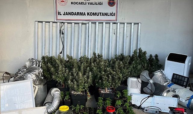 Kocaeli’de uyuşturucu operasyonu