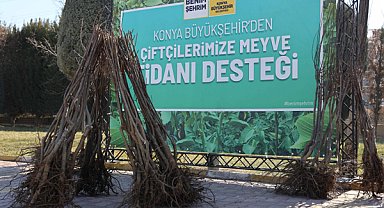 Konya'da çiftçi ve üreticilere yönelik fidan dağıtımı başladı