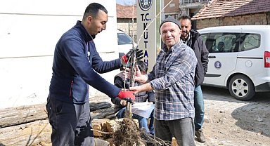 Kütahya'da kiraz fidanı dağıtım programı gerçekleştirildi