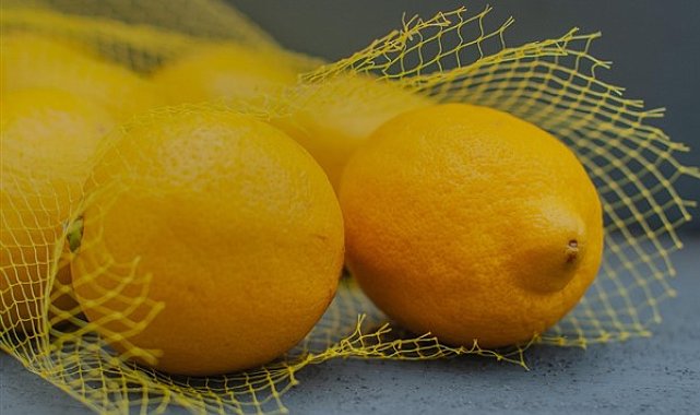 Limon ithalatında gümrük vergisi yeniden düzenlendi