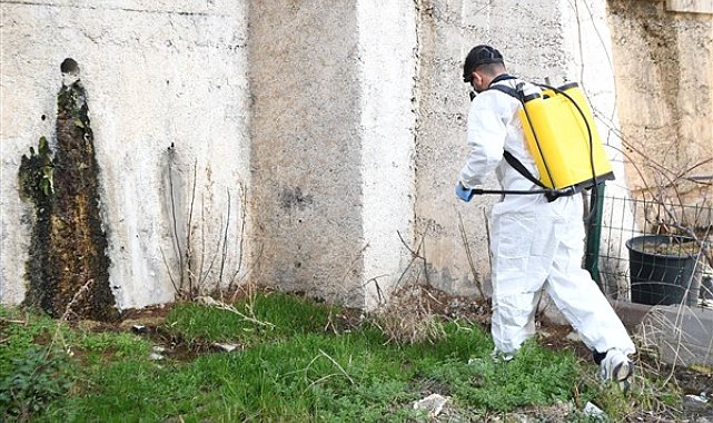 Mamak’ta haşere ve larva mücadelesi sürüyor