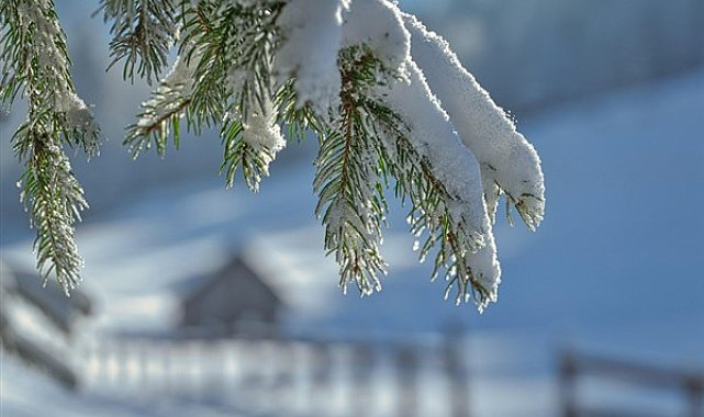 Ordu’nun bazı ilçelerinde eğitime 1 günlük ara verildi