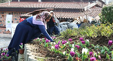 Osmangazi’de 470 bin çiçek toprakla buluşuyor