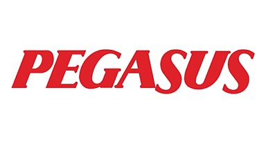 Pegasus'ta yönetim kurulu görev dağılımı 