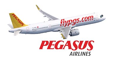 Pegasus'un 12 aylık faaliyet raporu