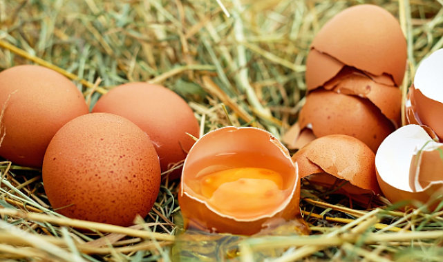 Tavuk eti üretimi 238 bin tona düşerken, tavuk yumurtası üretimi 1,90 milyara yükseldi