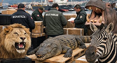 Trabzon Limanı’nda yaban hayatı kaçakçılığı operasyonu