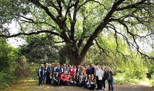 Validebağ Korusu Projesi Avrupa’da örnek gösterildi