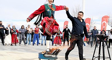 Van’da Nevruz coşkusu yaşandı