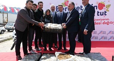 Adana’da üreticiye 900 bin çilek fidesi desteği