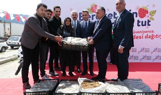 Adana’da üreticiye 900 bin çilek fidesi desteği