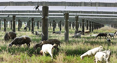 Alman ve İngiliz medyası: Çin, enerji krizinin en büyük kazananı oldu