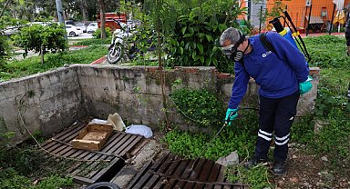 Antalya’da haşereyle mücadele çalışması başlatıldı