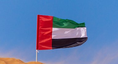 BAE Savunma Bakanlığı: 12 balistik füze ve 19 İHA etkisiz hale getirildi