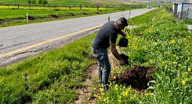 Batman’da 7 köy yoluna 3 bin 300 meyve fidanı dikildi