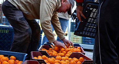 Bodrum’da mandalin üreticisine 5 milyon TL destek sağlandı