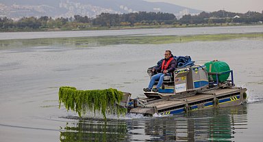 Çakalburnu Lagünü’nde oluşan yosunlara yönelik temizlik çalışmaları sürüyor